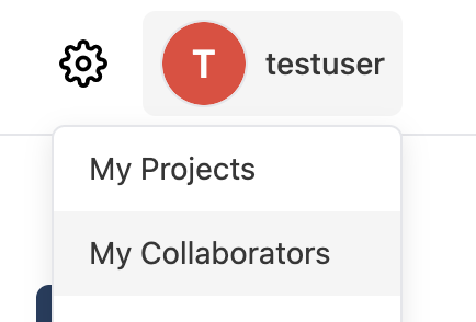 Avatar dropdown with the My Collaborators item
