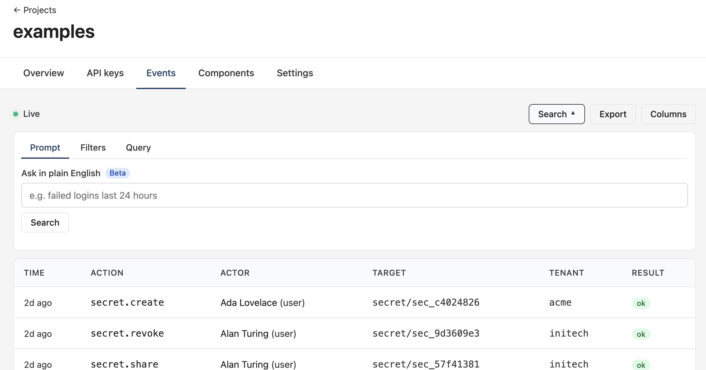 Prompt tab with a plain-English input