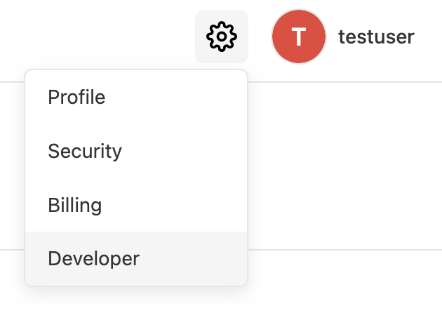 Settings menu with the Developer item